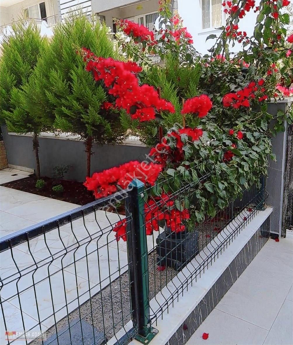 Davutlar Mahallesınde Satılık 1+1 Bahçe Katı Daıre