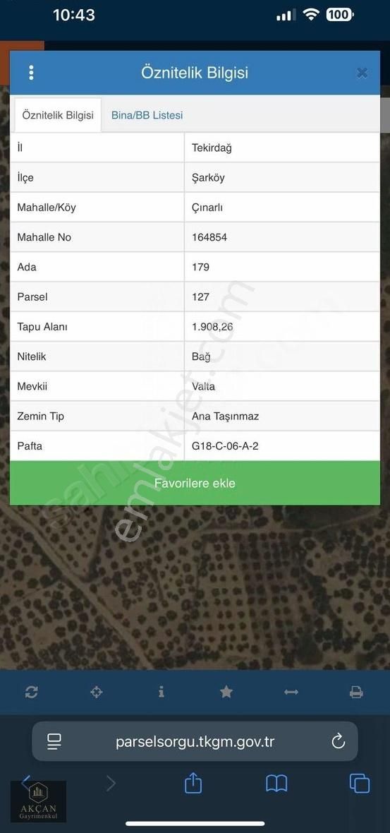 Akçandan Şarköyde Satılık Zeytinlik