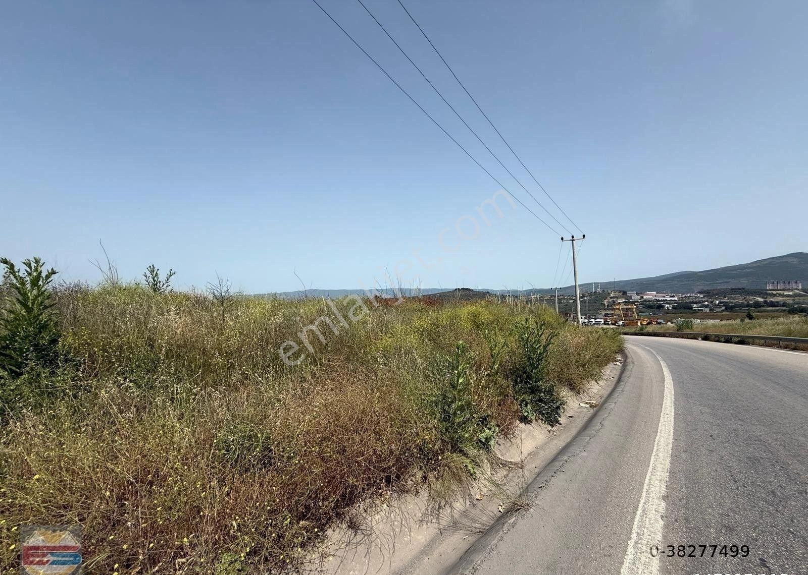 Gemlik Sanayi ,limanlar Ve Serbest Bölge Mevkiinde Antre Depo Ve Depolama İmarlı Arsa - Görsel 12