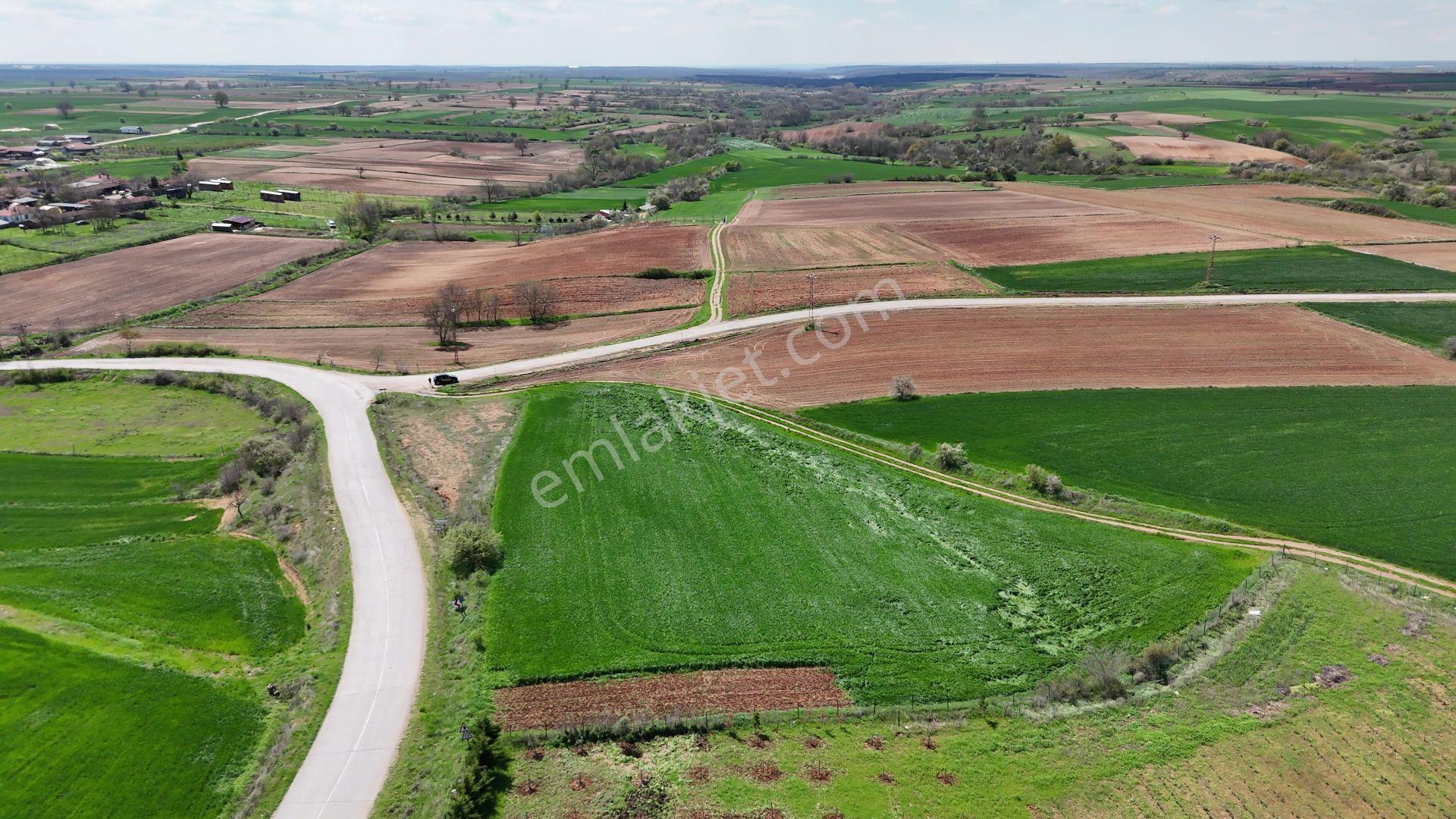 Kırklareli Babaeski Erikleryurdu İmara Sınır 5.892 M2 Satılık - Görsel 15