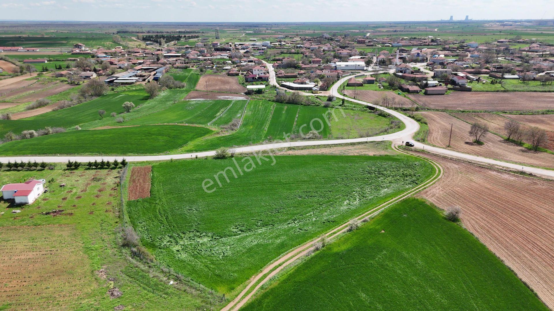 Kırklareli Babaeski Erikleryurdu İmara Sınır 5.892 M2 Satılık - Görsel 25