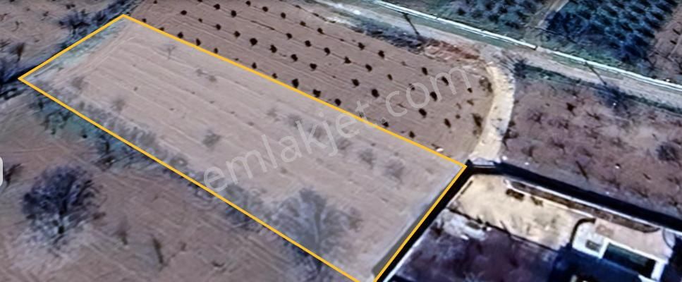 Uluyatır- Nizip 'de Satılık Bağ Evlik Arazi Asfalta Elektriğe Yakın.