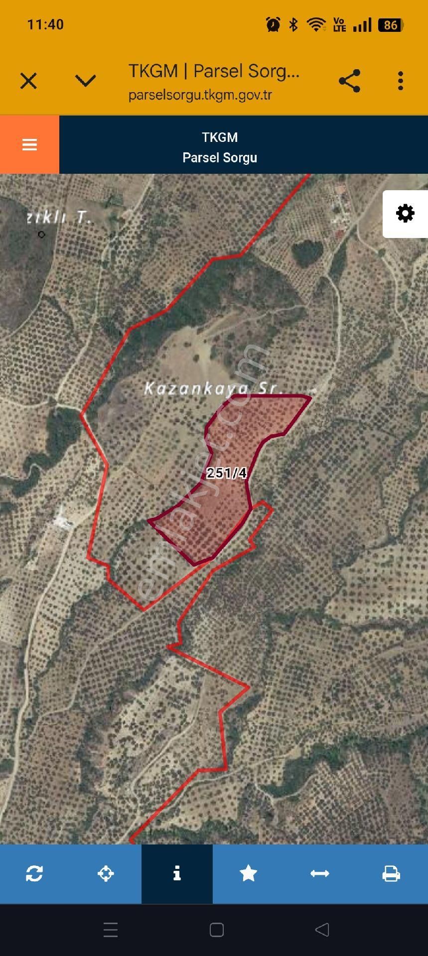 Havran Tepeoba Satılık Zeytinlik Hissesi 17 Dönüm - Görsel 2