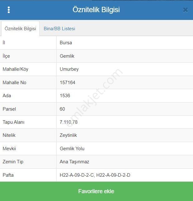 Bursa Gemlik Umurbey 4740 M2 Satılık Hisseli Zeytinlik