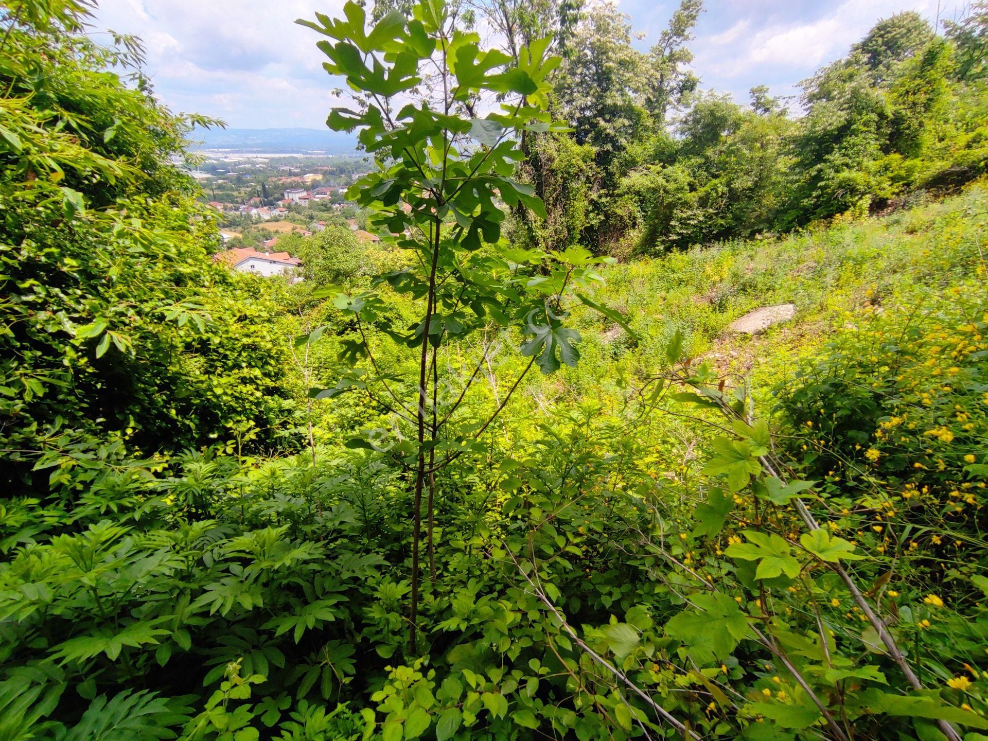 Kocaeli Kartepe Suadiye Çepni 1008m2 İmarlı Arsa
