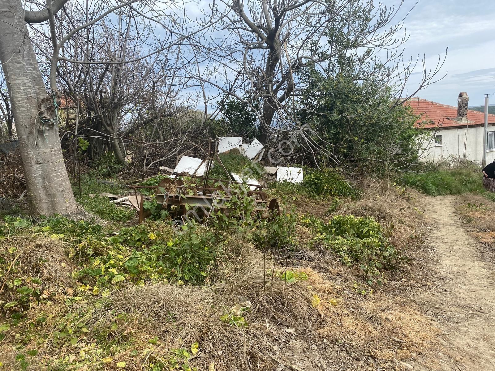 Mudanya Eğerce'de Kapital'den Yatırımlık Köy İçi Tapulu Arsa