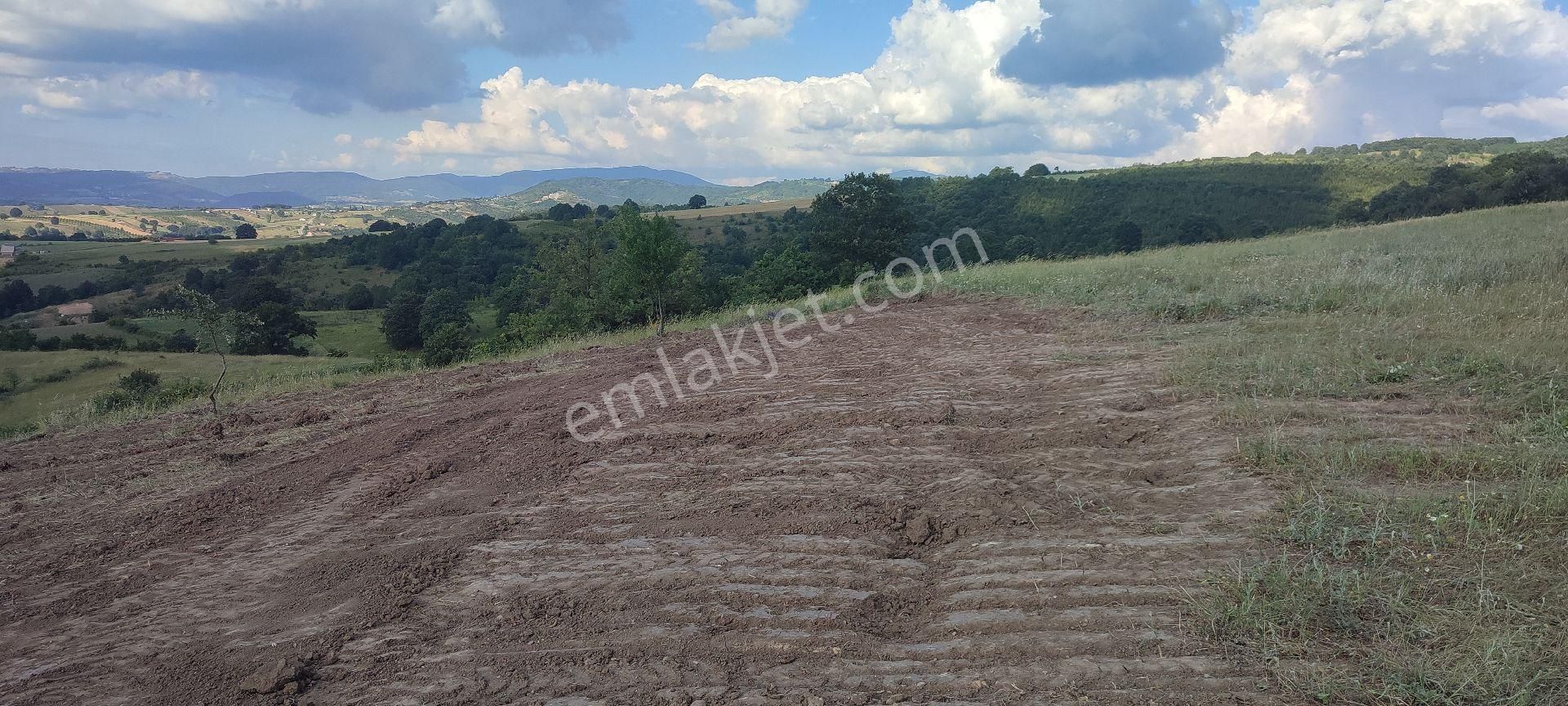 Karamürsel Kızderbent Mahallesinde Resmi Yola Cephe %5 İmarlı 2293 M2 Satılık Tarla