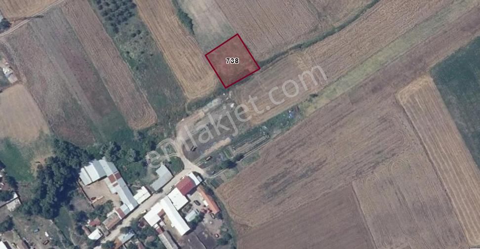 Bursa Mustafakemalpaşa Ada Satılık 1300 M2 Tarla