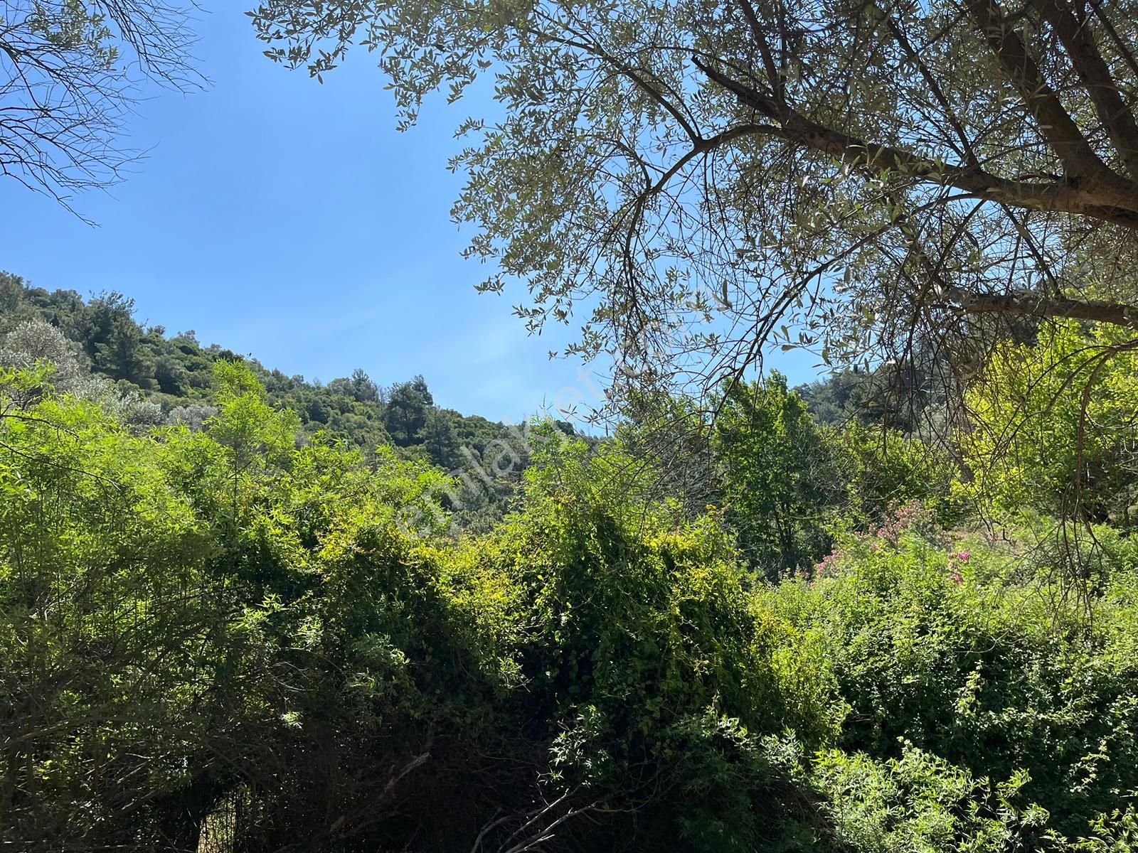 Güzelbahçe 'de 3671 M2 Satılık Doğa Manzaralı Tarla