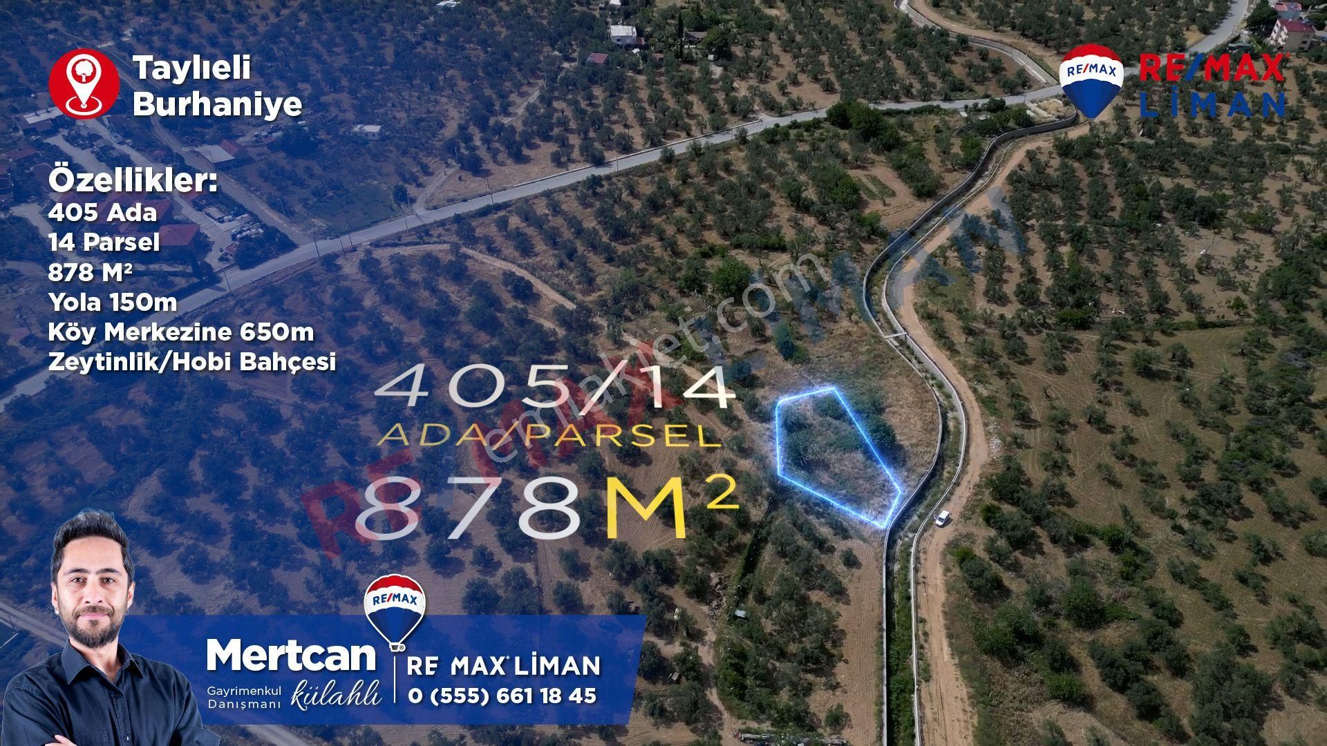 Burhaniye Taylıeli'nde Satılık Zeytinlik