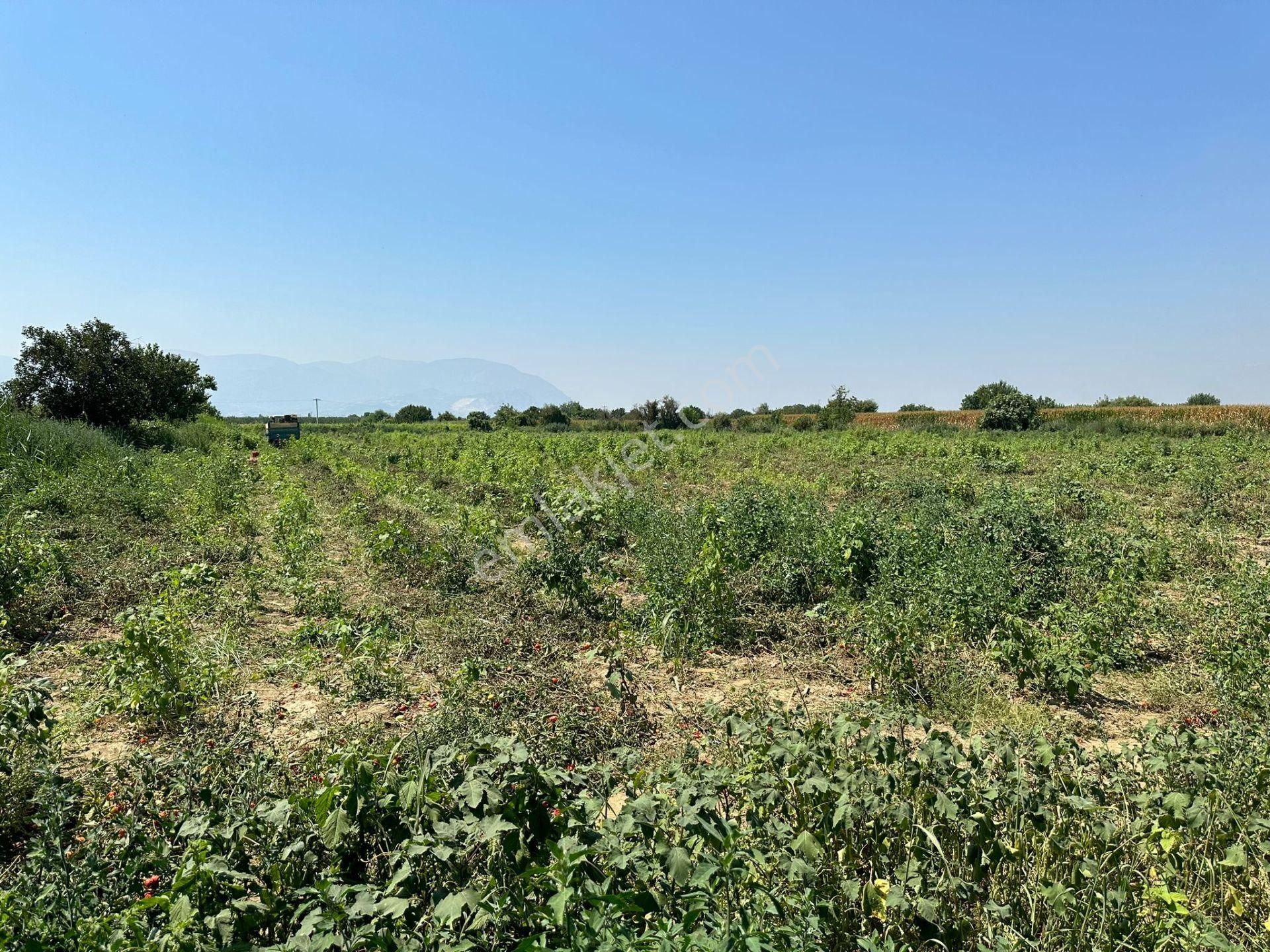 📌inan Emlak Gayrimenkulden 8. Mıntıkada Satılık Arazi - Görsel 3