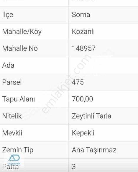 Soma Kozanlı Da. Satılık Zeytinlik