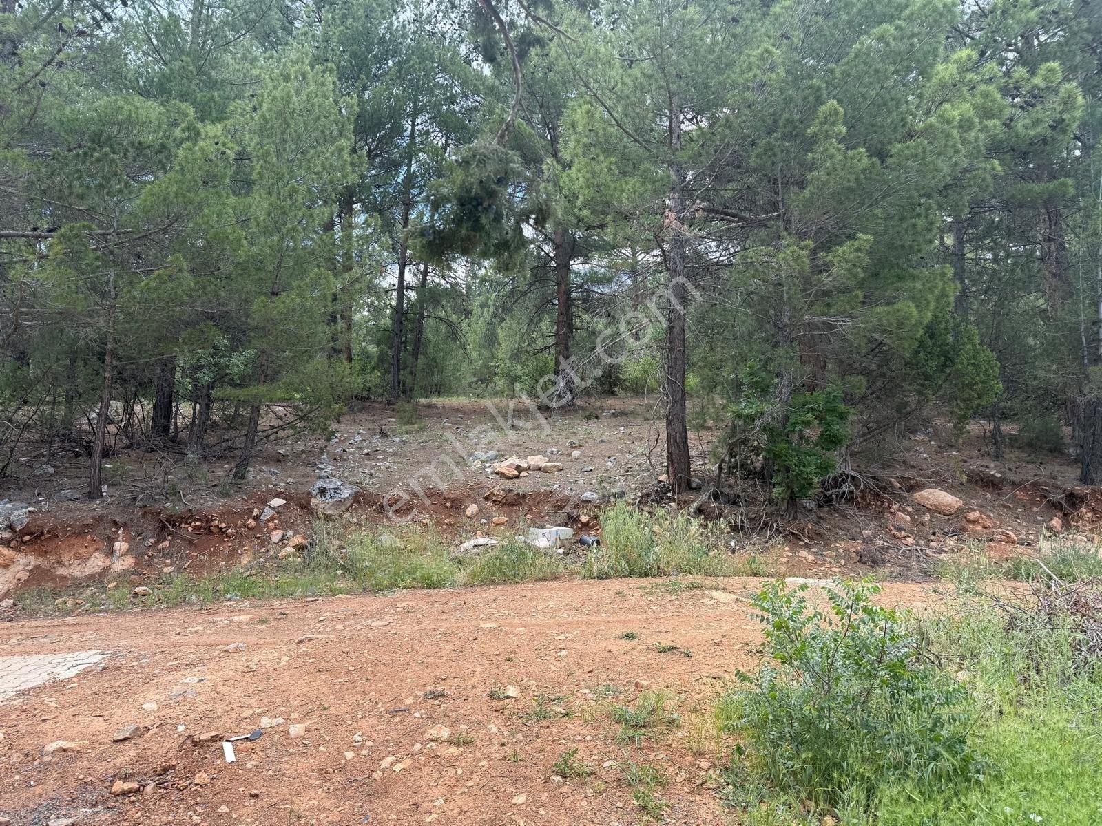 Adana Pozantı Alpu'da Satılık Butik Sitede Satılık Lüks Villa - Görsel 3