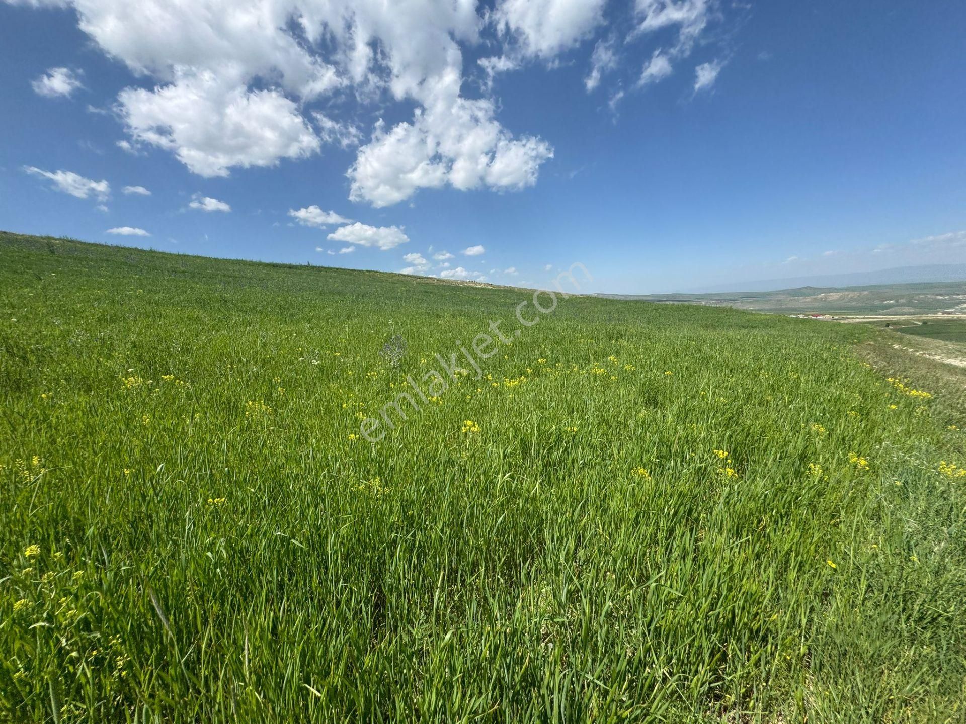 Erzurum Horasan'da Satılık Arazi