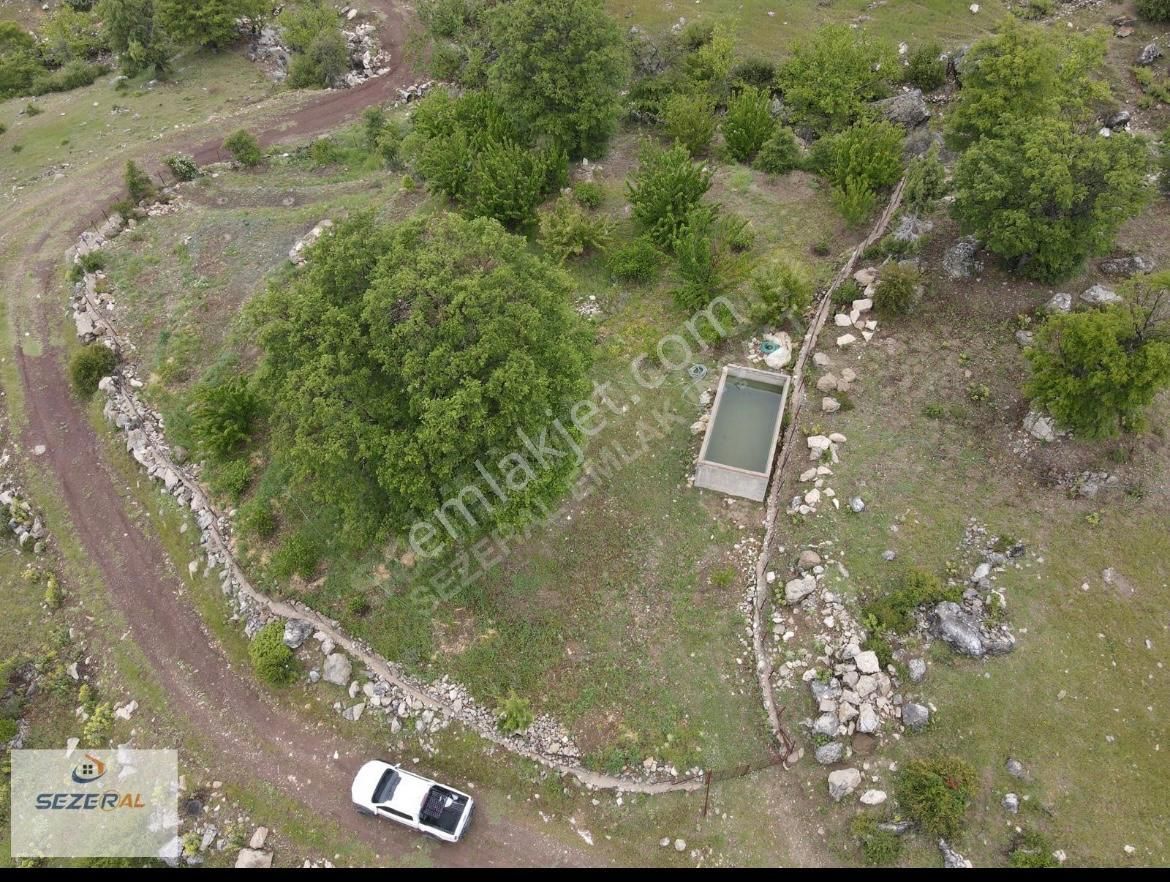 Alanya Tırılar Yaylasında Kiraz Bahçesi - Görsel 4