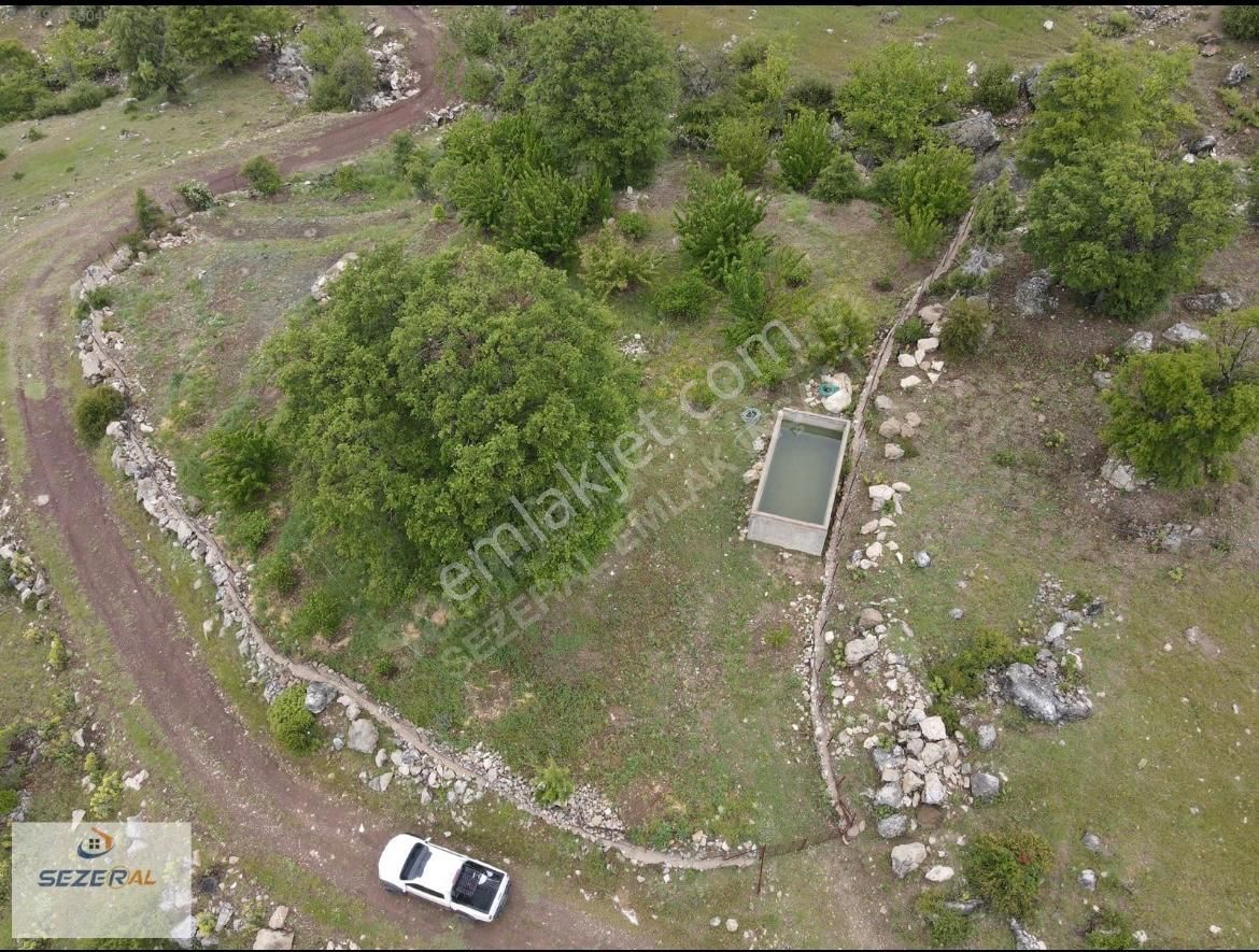 Alanya Tırılar Yaylasında Kiraz Bahçesi