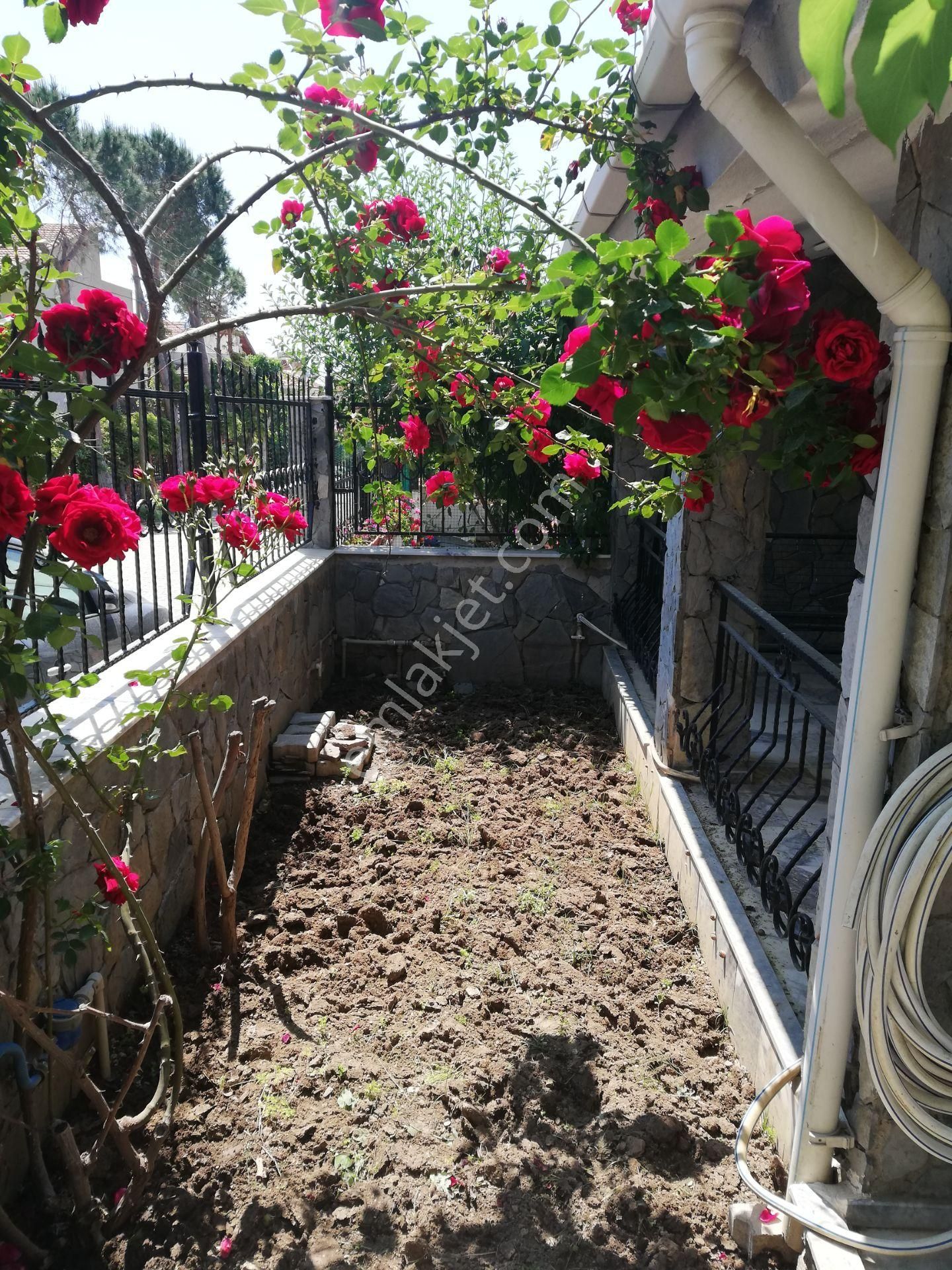 Denize 100 Metre, 4+1 ,triplex, Full Eşyalı