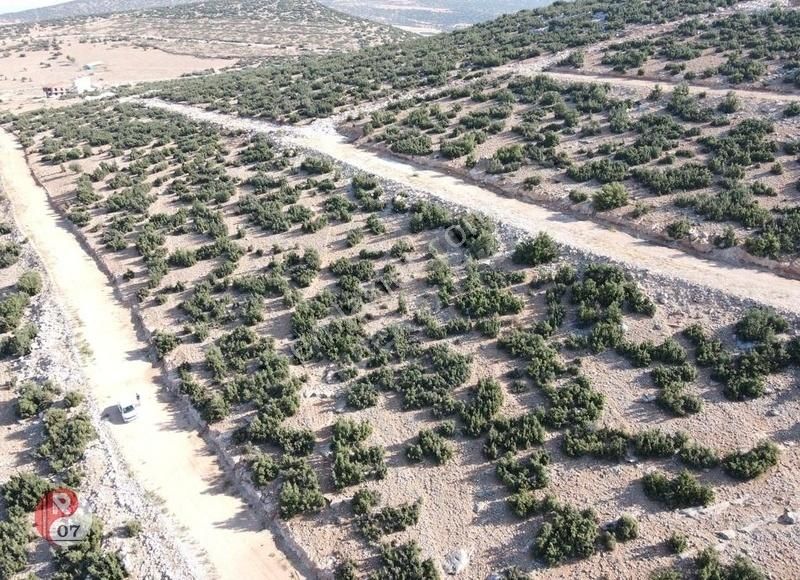 Antalya Korkuteli İmrahor Mahallesi'nde Satılık 423 M2 Arsa