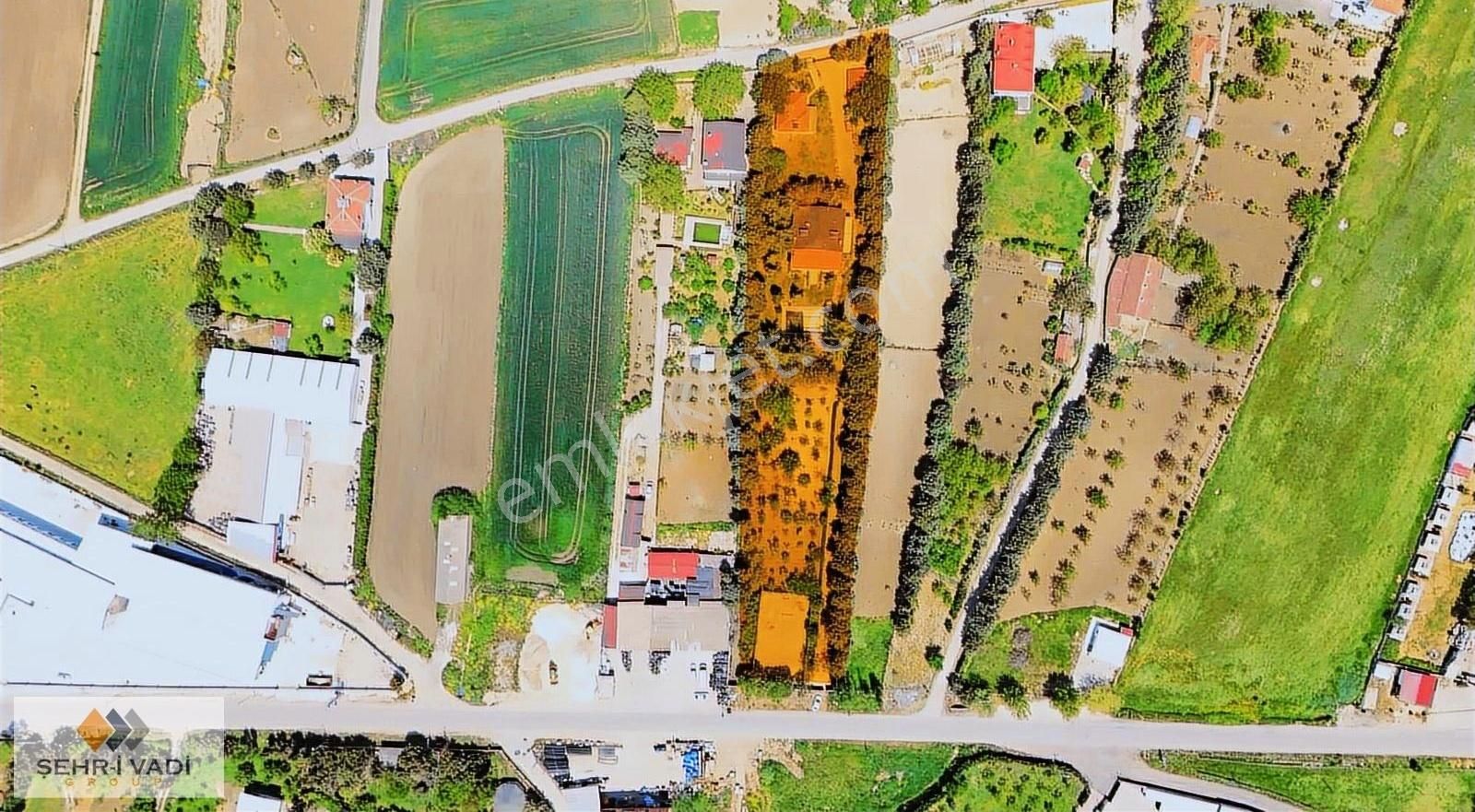 Çatalca Subaşı Köyünde Hazır Çiftlik Lokasyonu Mükemmel Fırsat