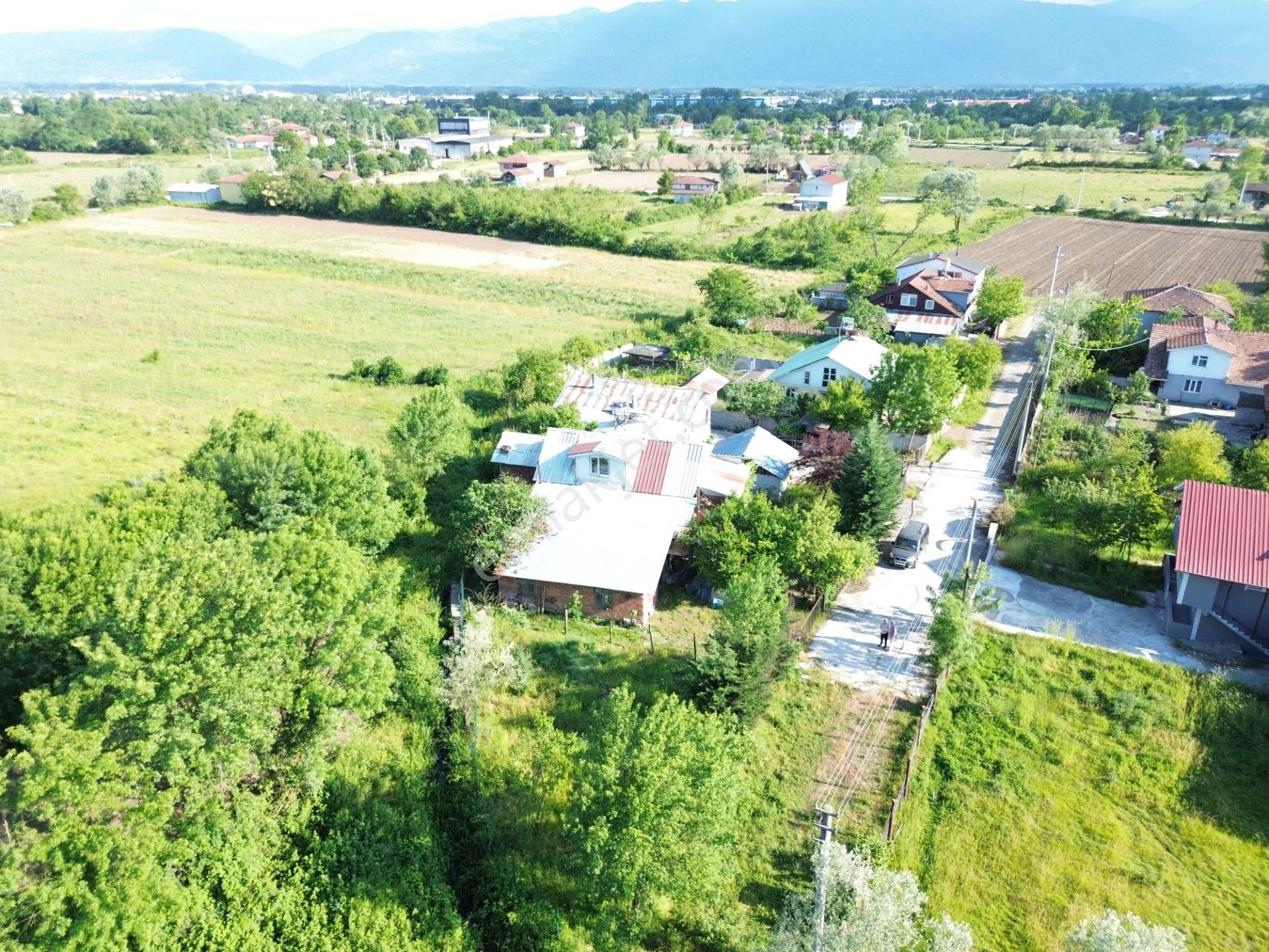 Düzce Çilimli Alacamescit'te 537 M2 Yatırımlık Satılık Arsa
