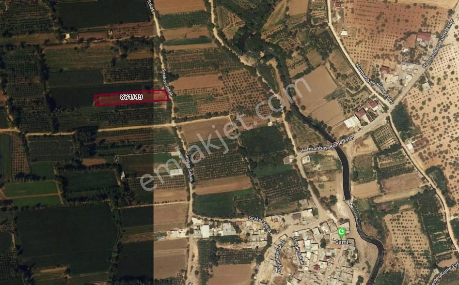 Ertaş Group'tan Oğuzeli Gürsu Da Satılık Nar Bahçesi