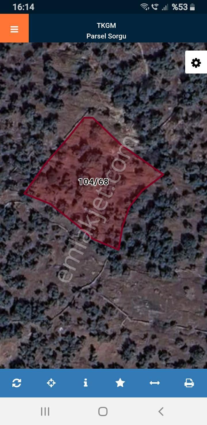 Muğla Milas Şenköyde Bulunan Zeytinlik