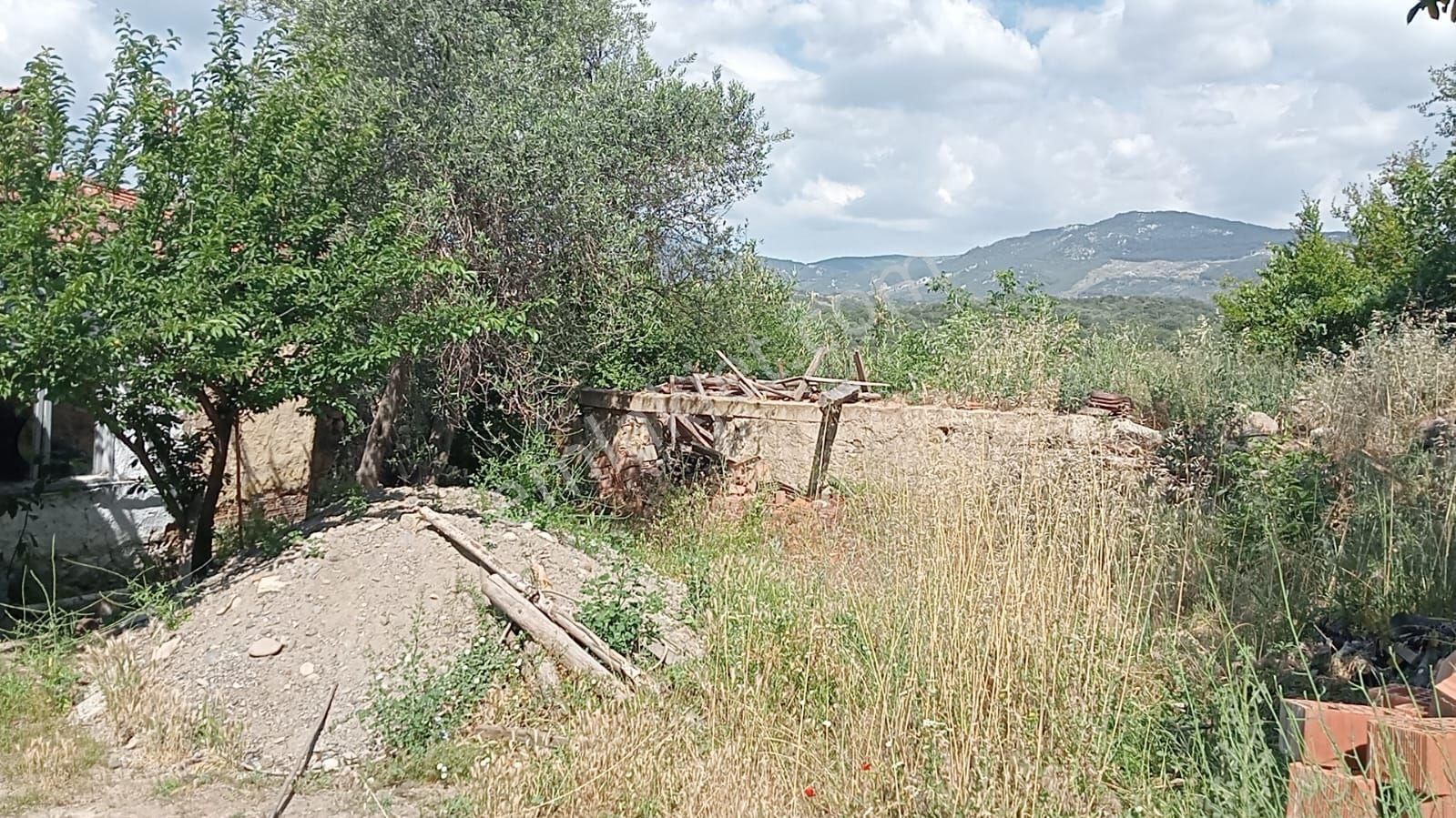 Bergama Çeltikçi Mahallesinde Geniş Bahçeli Avlulu Kargır Ev - Görsel 5