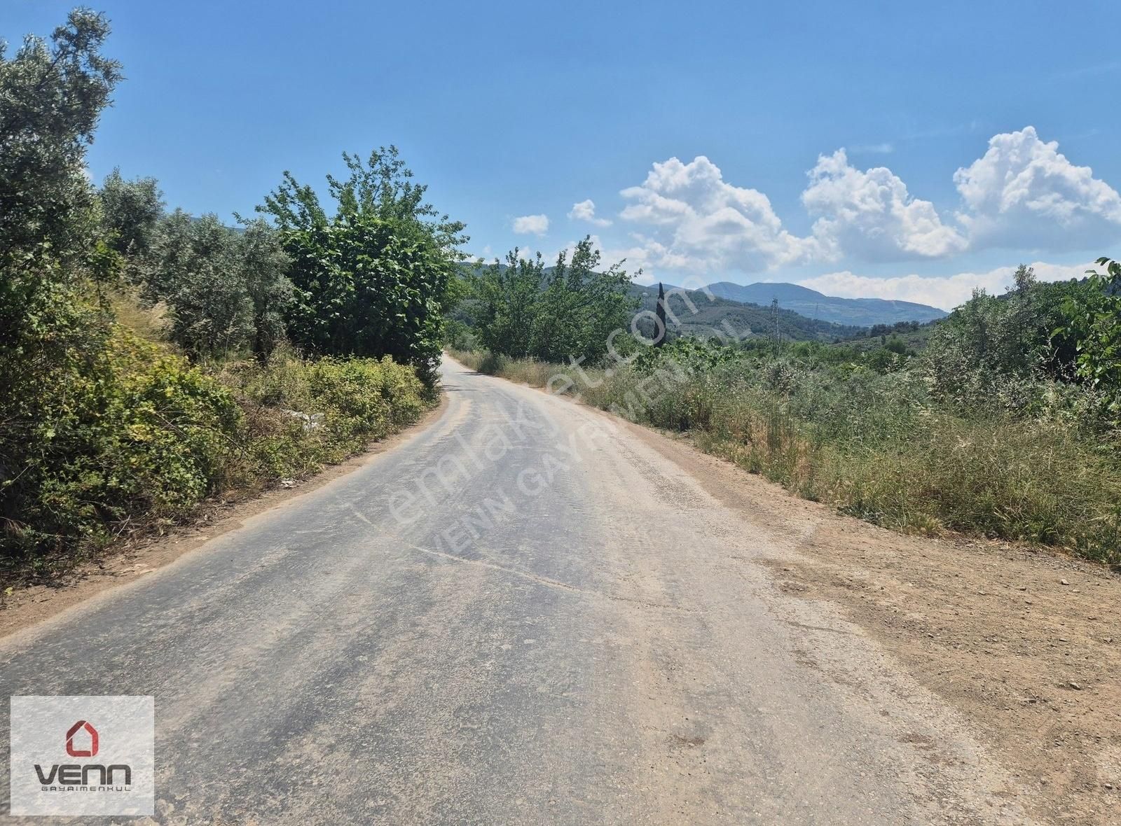 Gemlik Umurbey Satılık 1.436 M2 Zeytinlik - Görsel 10