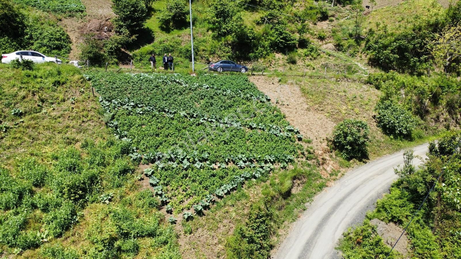Trabzon Akçaabat Akçakalede Satılık Arazi