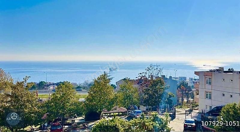 Dört Mevsimin Sessiz Şıklığında, Mavi Manzaraya Doğru