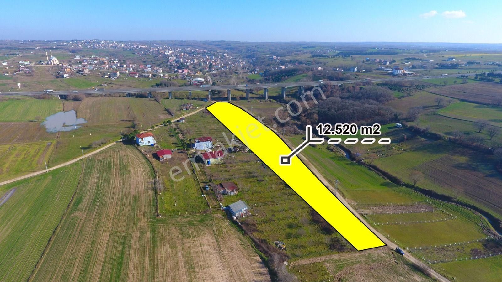 Ege Gayrimenkulden Silivri Büyükçavuşluda 12500 M2 Tarla