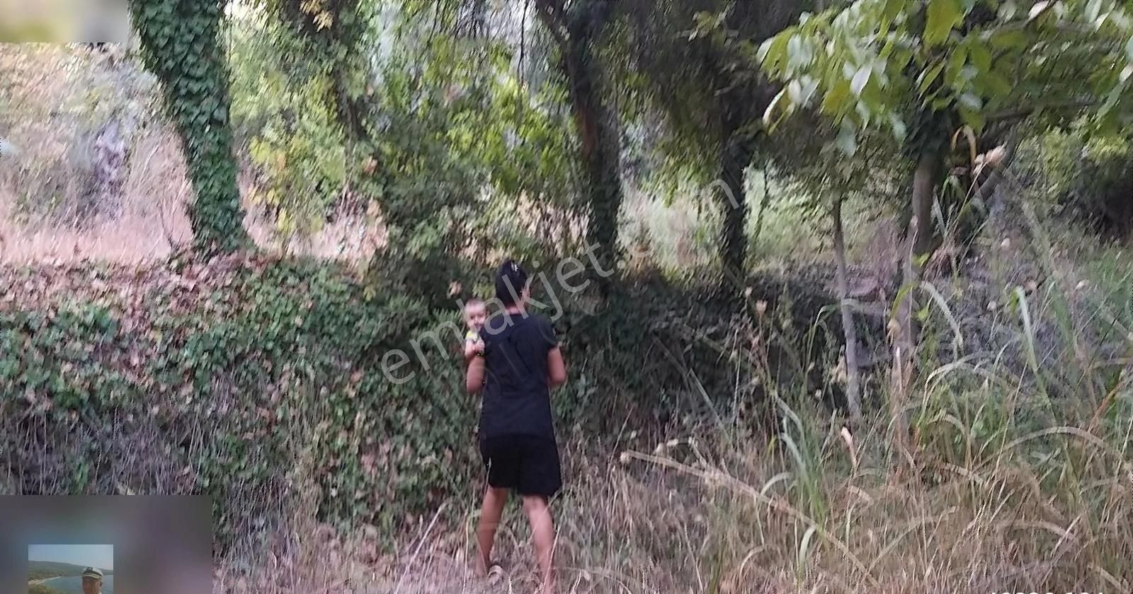 Milas Dereköyde Satılık Köy Evi Ve Arazi 3 Milyon Beşyüz Bin Tl - Görsel 14