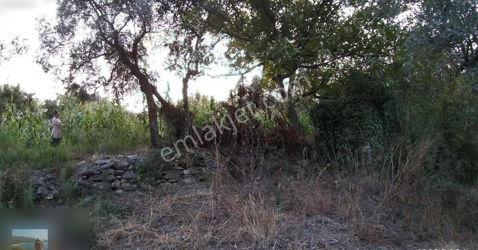 Milas Dereköyde Satılık Köy Evi Ve Arazi 3 Milyon Beşyüz Bin Tl - Görsel 16