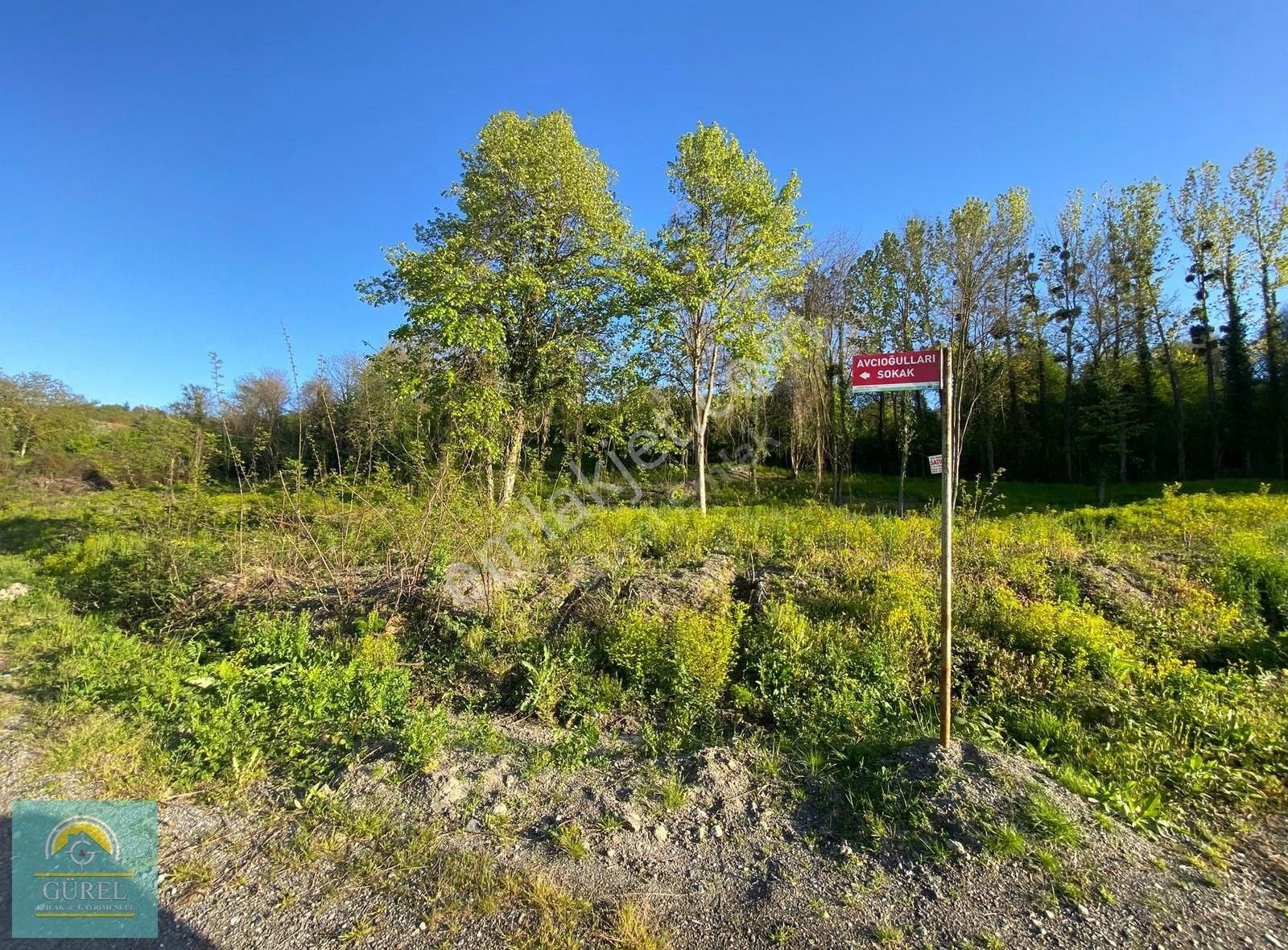 Sapanca İlmiyede Satılık Göl Manzaralı 7.754.72 M2 İmarlı Arsa