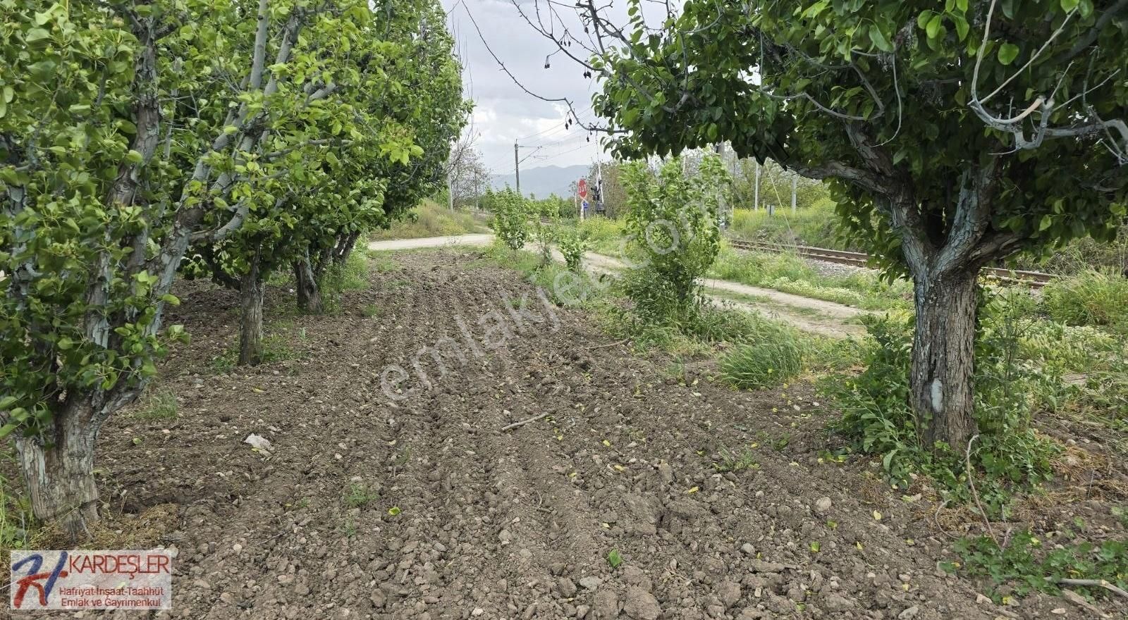 Sakarya Pamukova Üçevler Mah. %40 Konut İmarlı Arsa