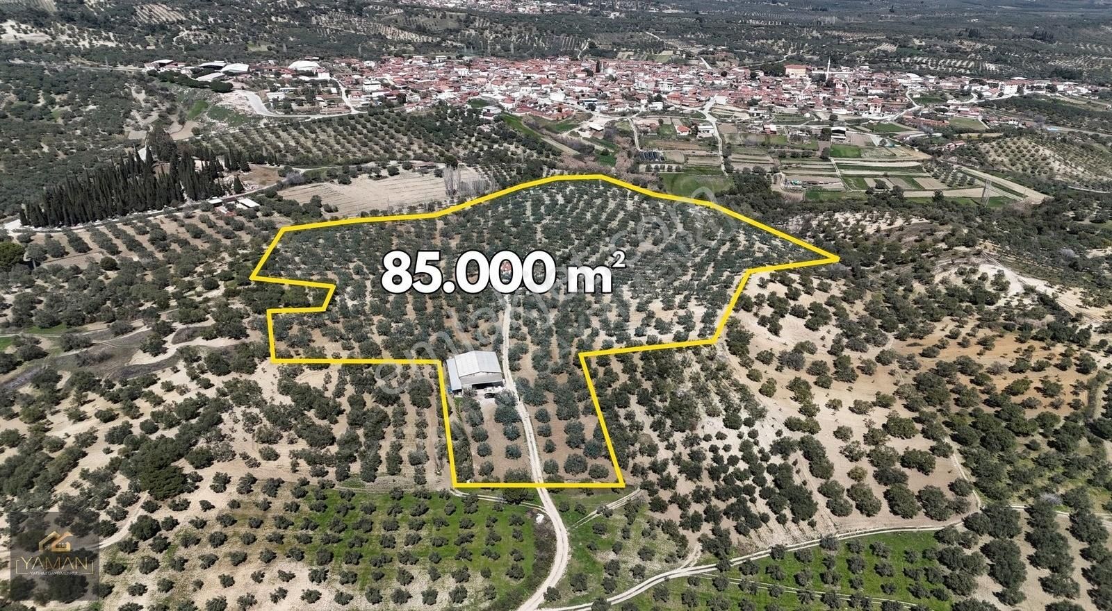 Gökçeköy'de Tek Tapu 85.000m² Zeytinlik Ve Müstakil Ev