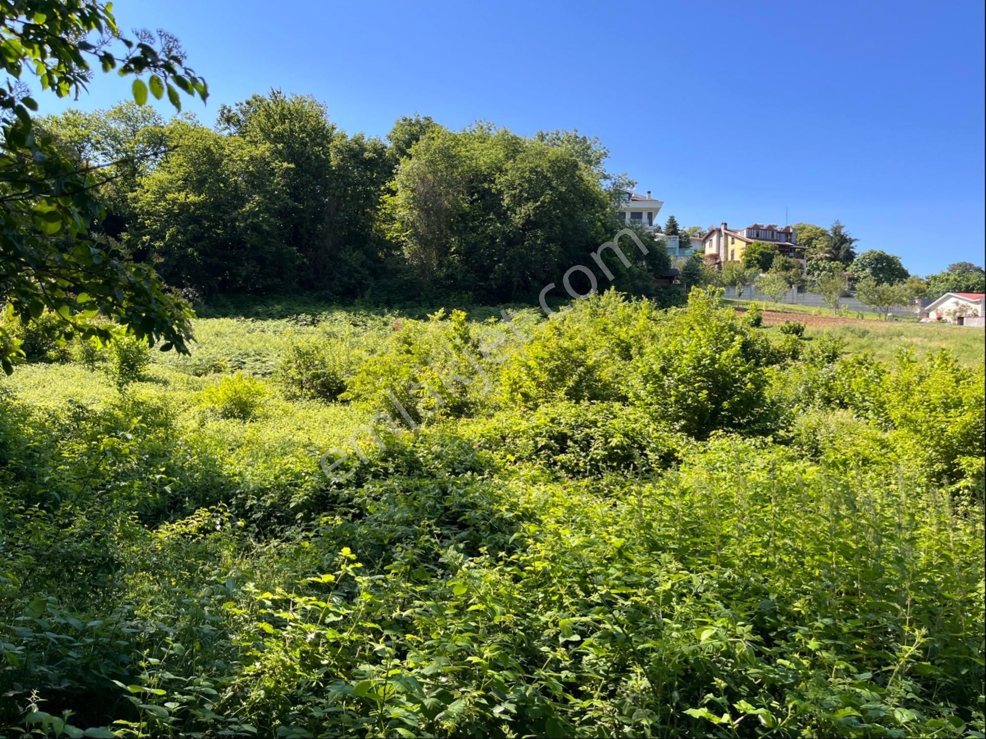 İki Yol Arası 4742 Metre Satılık Arsa - Görsel 3