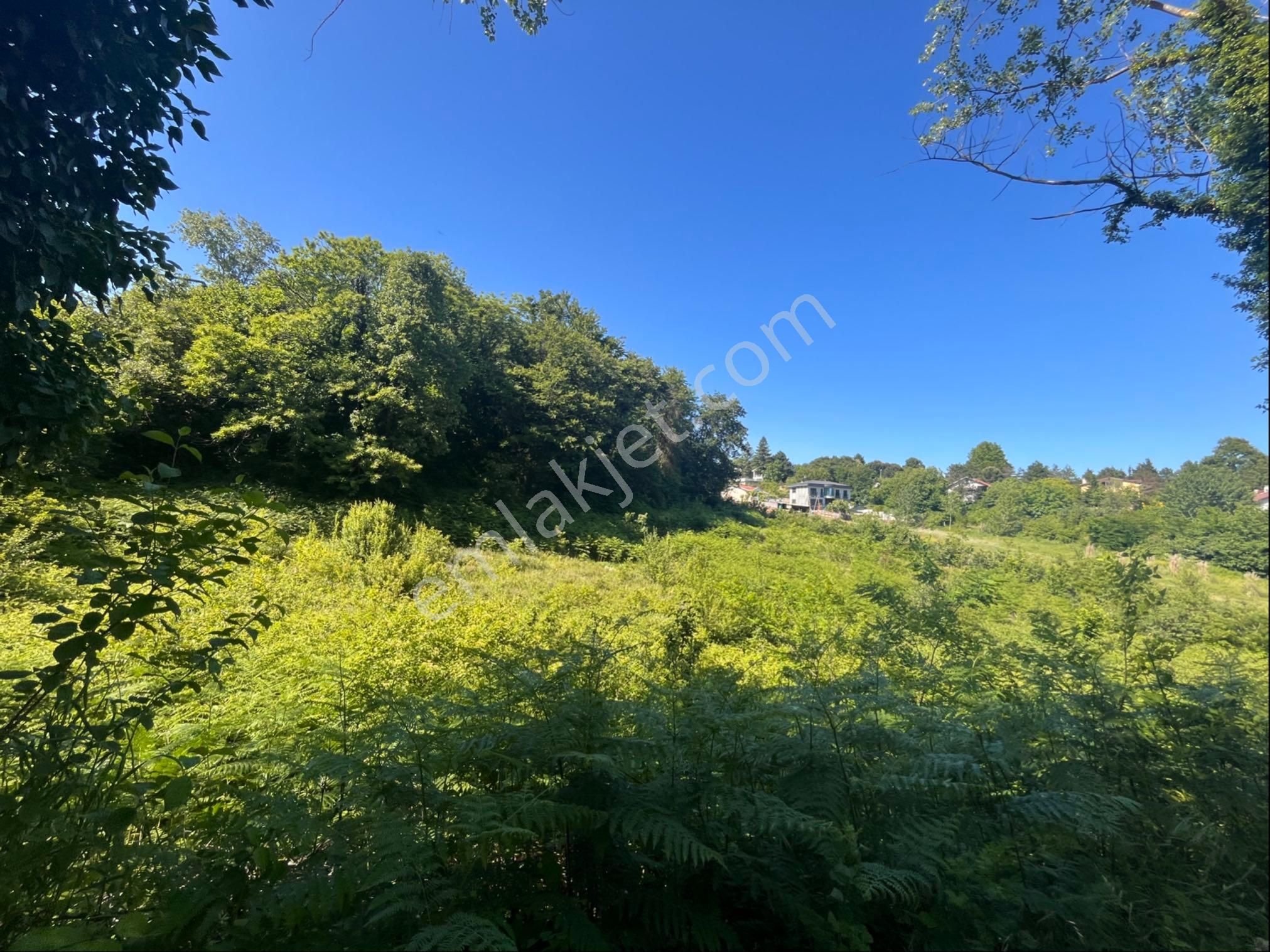 İki Yol Arası 4742 Metre Satılık Arsa - Görsel 2