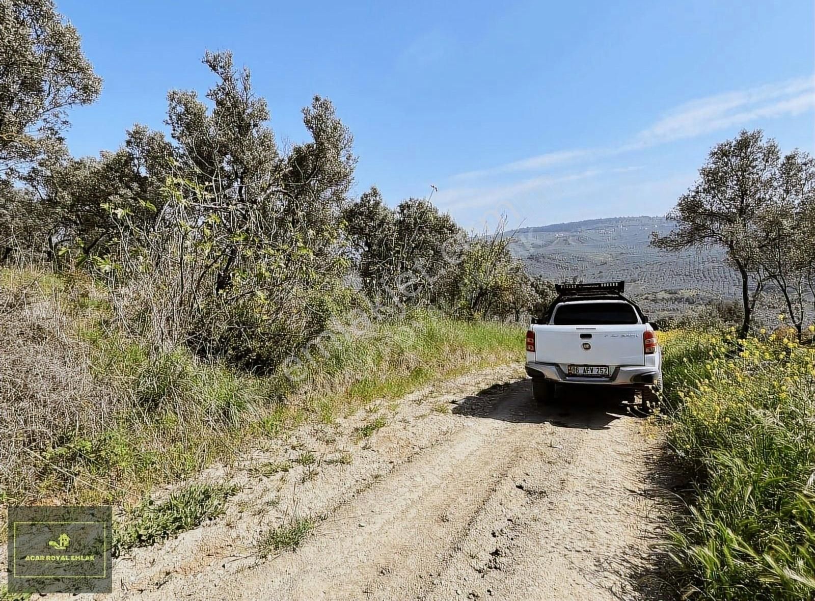Acar Royalden Umurbeyde Akbaba Mevkıı Yatırımlık Arazi