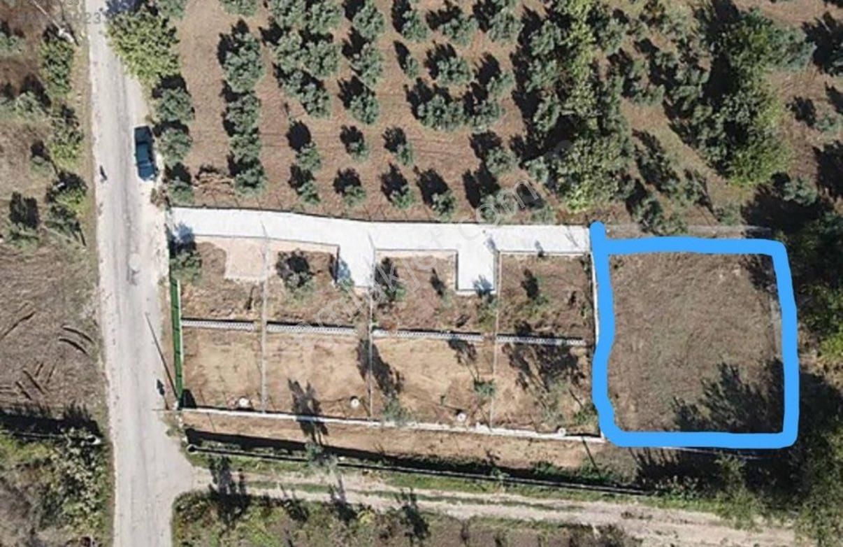 Bursa Karacabey Eskikaraağaç Mh Satılık Arsa - Görsel 2