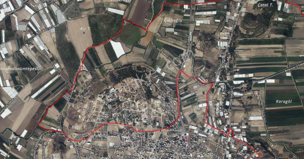 Usta Gayrimenkul'den Satılık 24.5 Dönümlük Tarım Arazisi