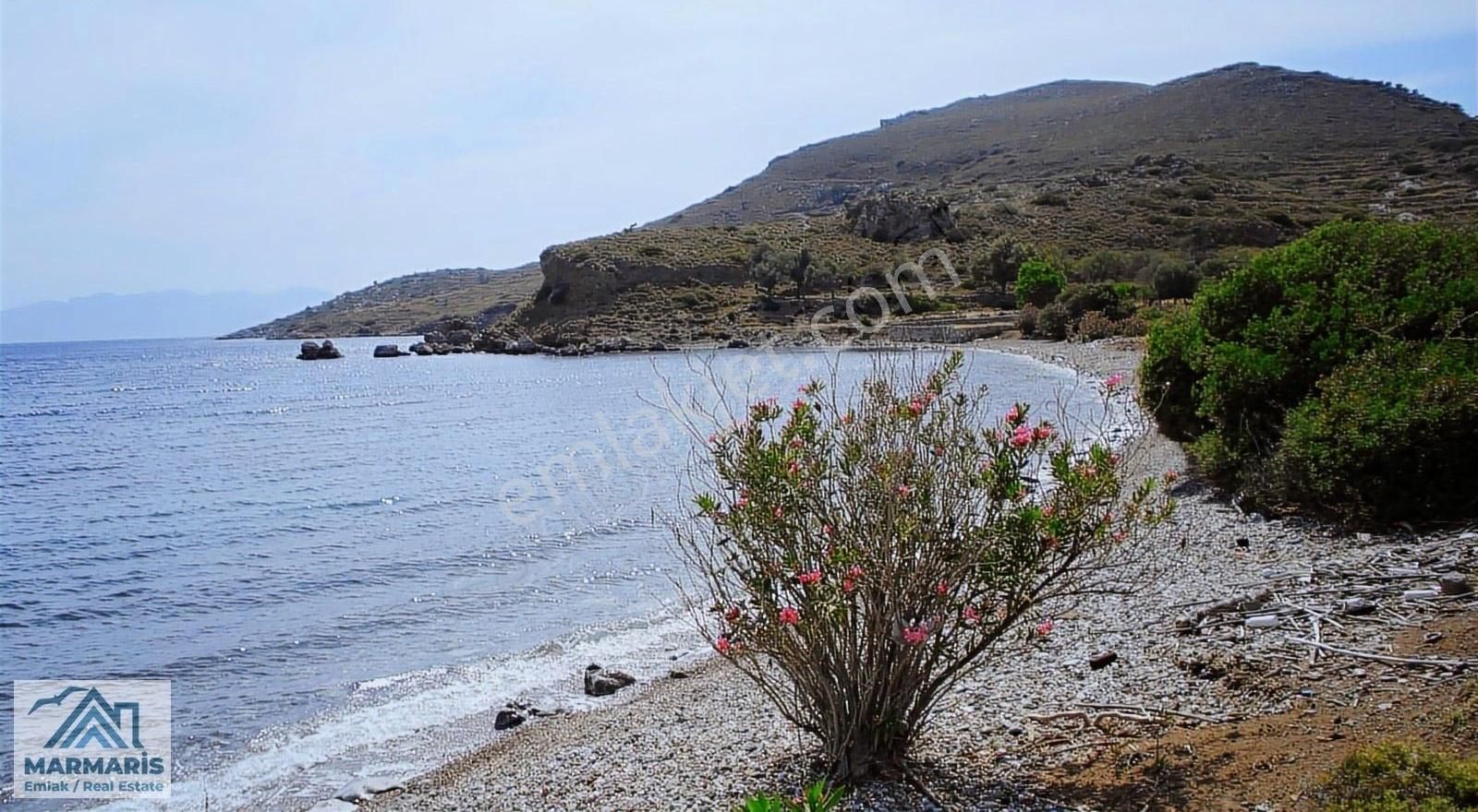 Kamu Arazileriyle Çevrili, Marina Projesine Komşu Satılık Tarla