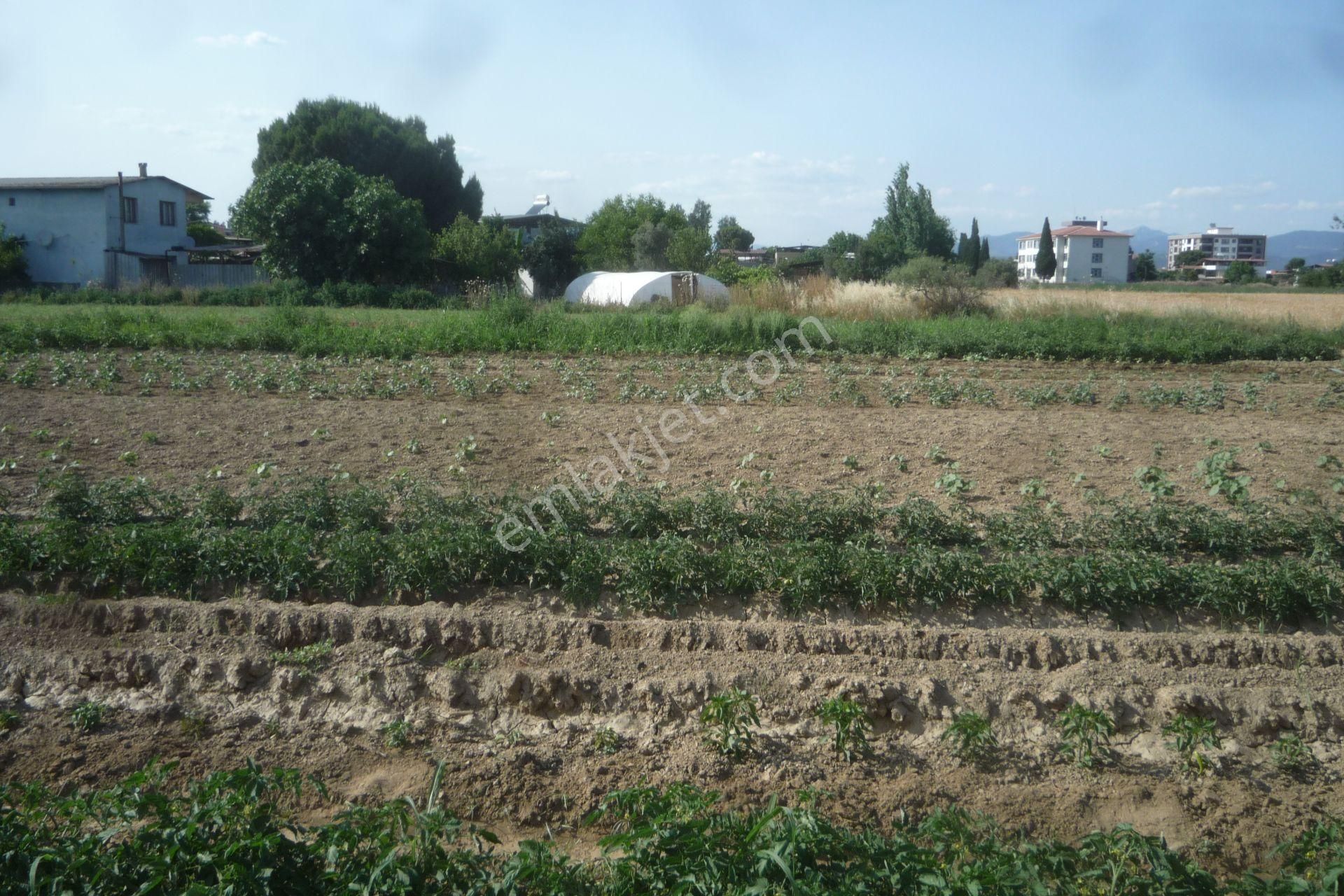 İzmir Torbalı Gold Emlaktan Satılık Konut İmarlı Arsa - Görsel 5