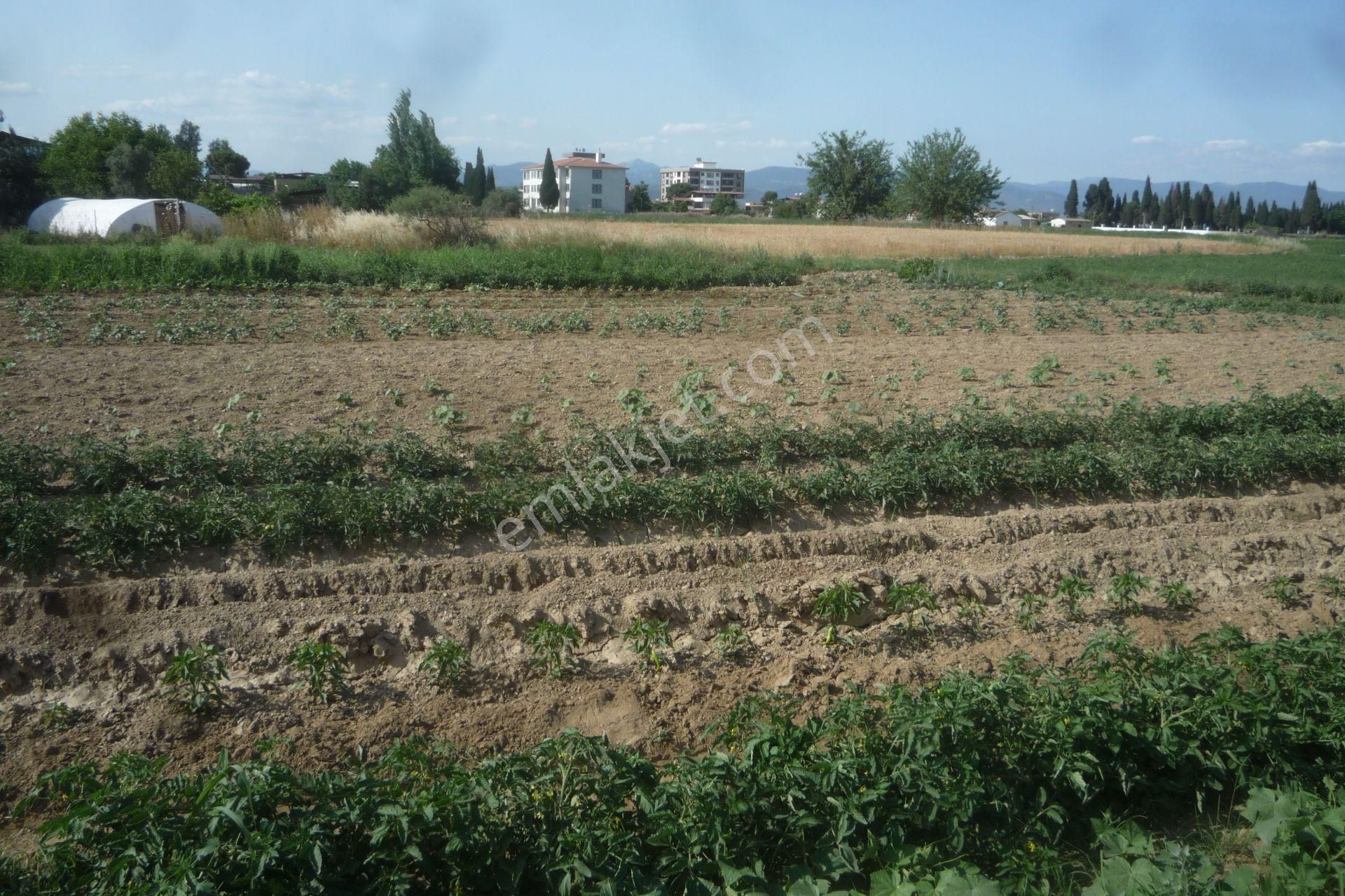 İzmir Torbalı Gold Emlaktan Satılık Konut İmarlı Arsa - Görsel 3