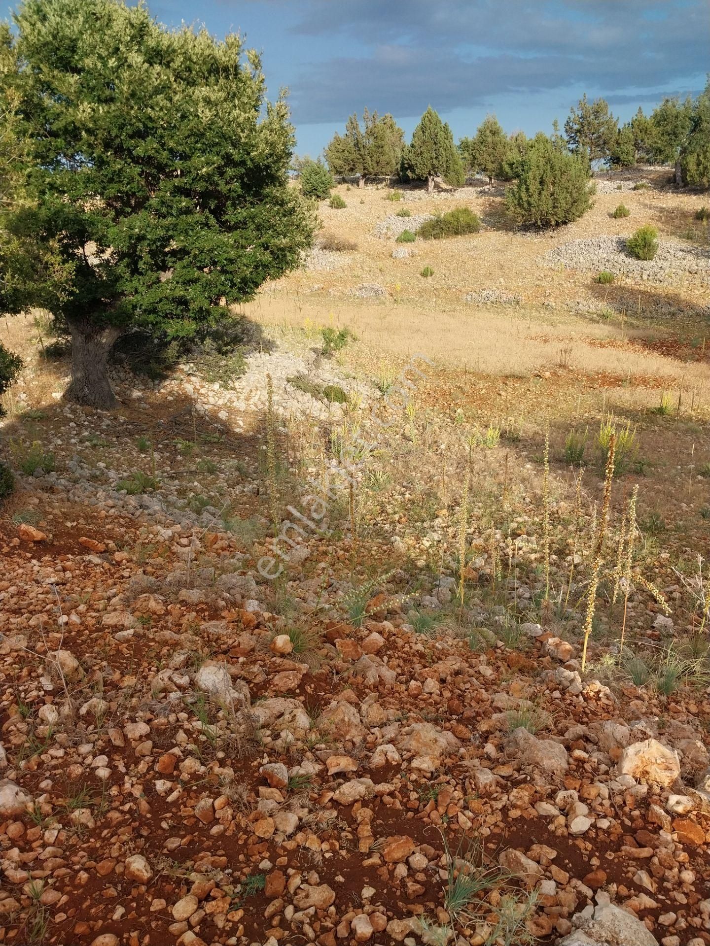 Arkıt Satılık Arsa