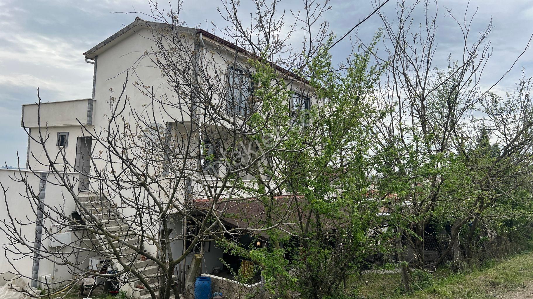 Yalova Denizçalı Köyü - Görsel 11