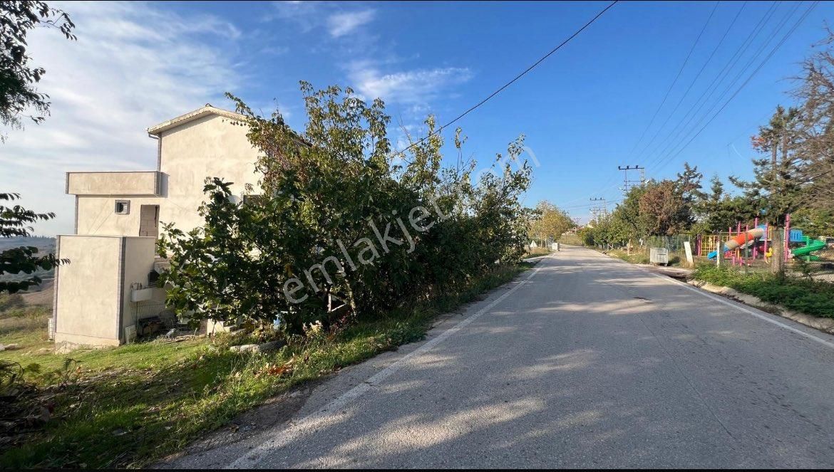 Yalova Denizçalı Köyü - Görsel 18
