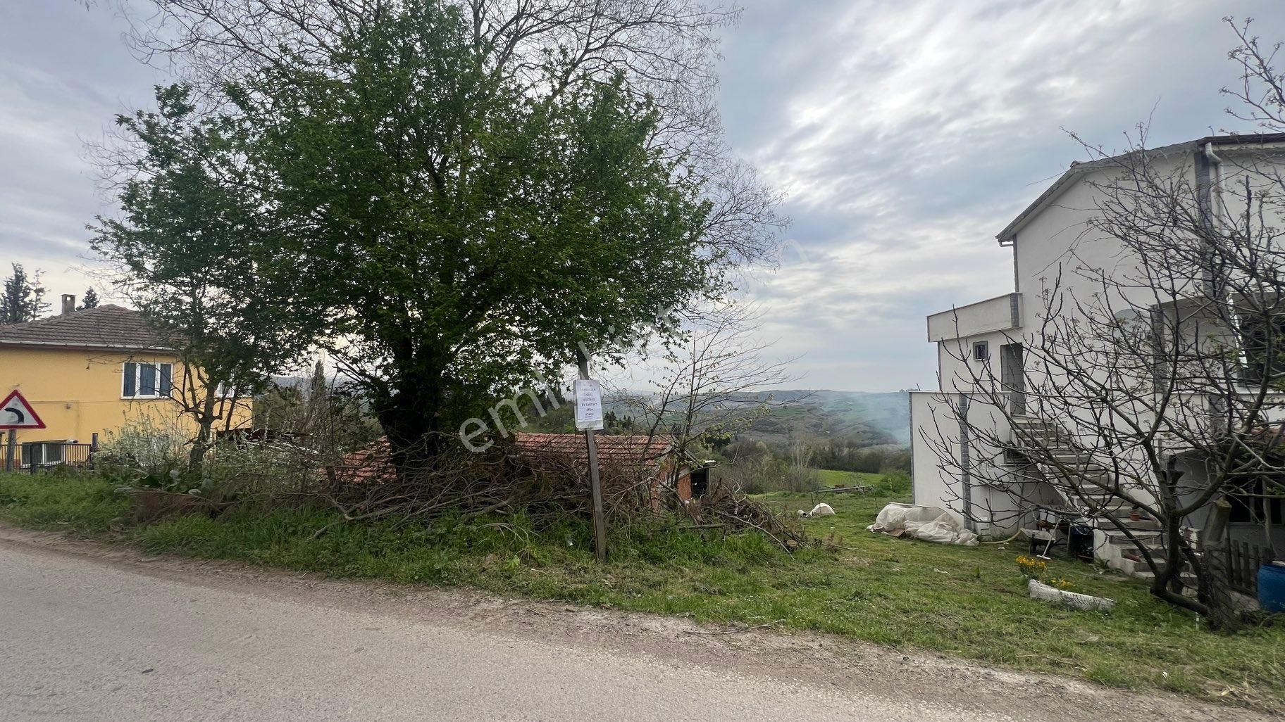 Yalova Denizçalı Köyü - Görsel 7