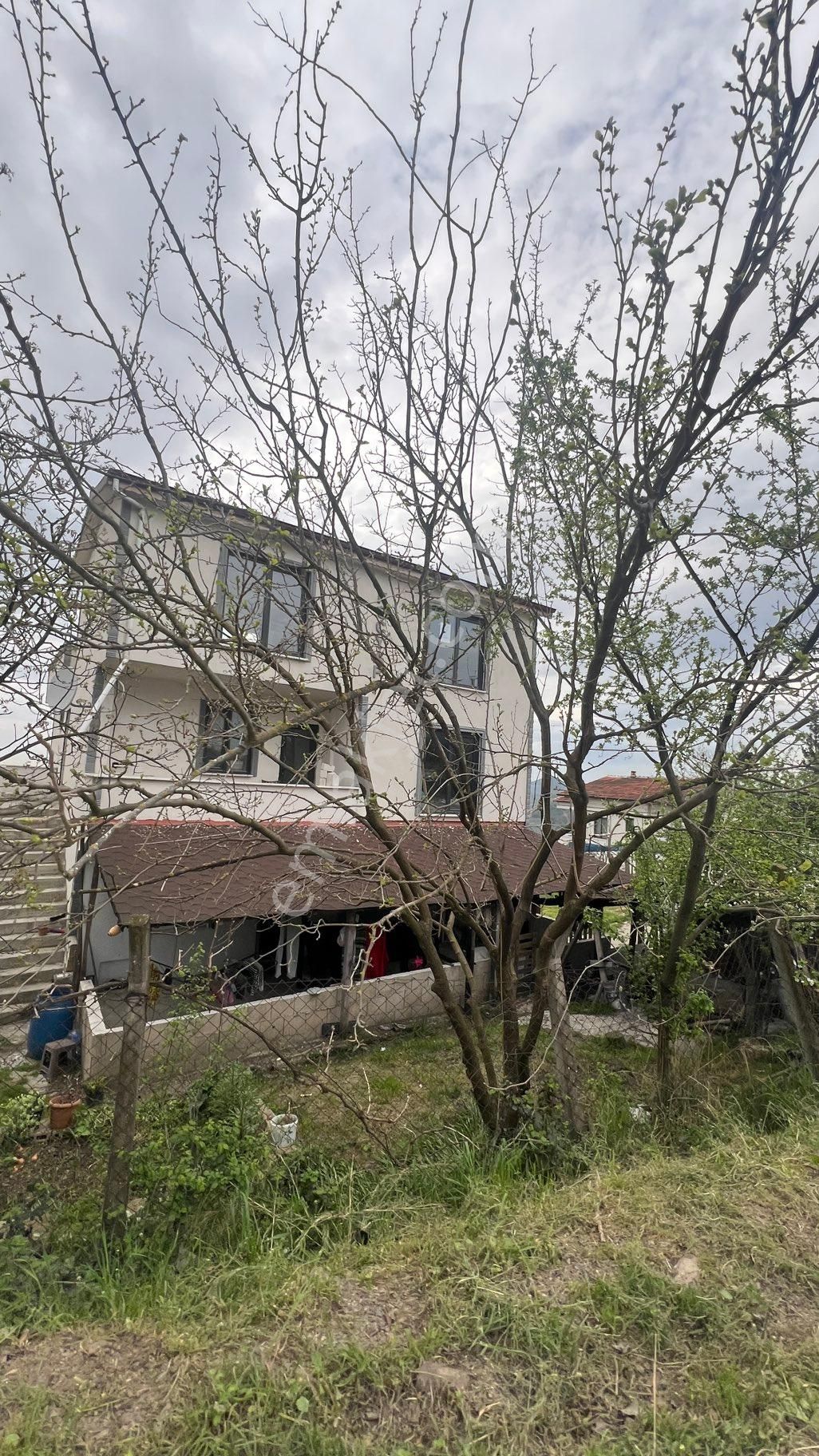 Yalova Denizçalı Köyü - Görsel 5