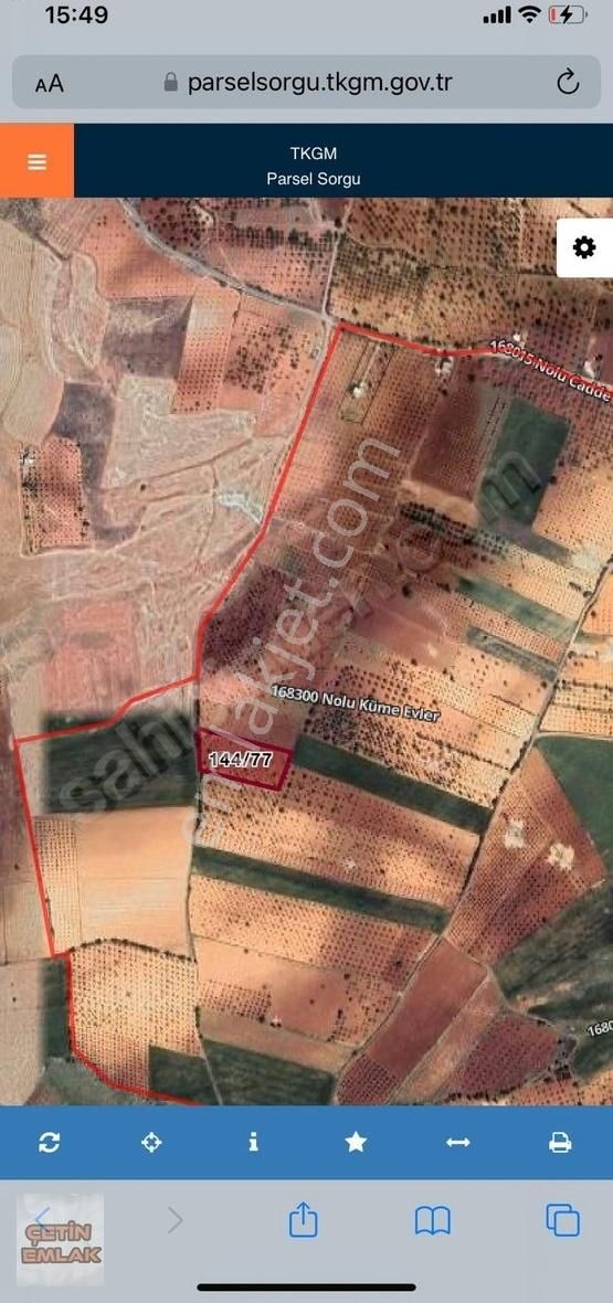 Çetin Emlak'tan Çimenli'de Yola Sıfır Satılık Zeytin Bahçesi